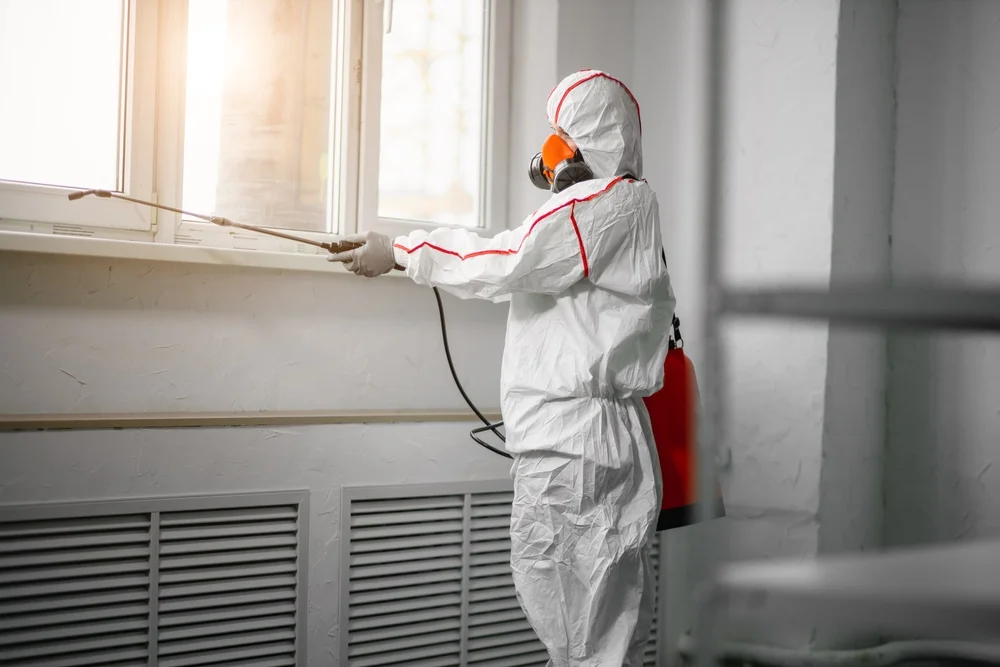 Professional mold remediation services in Guilderland, NY